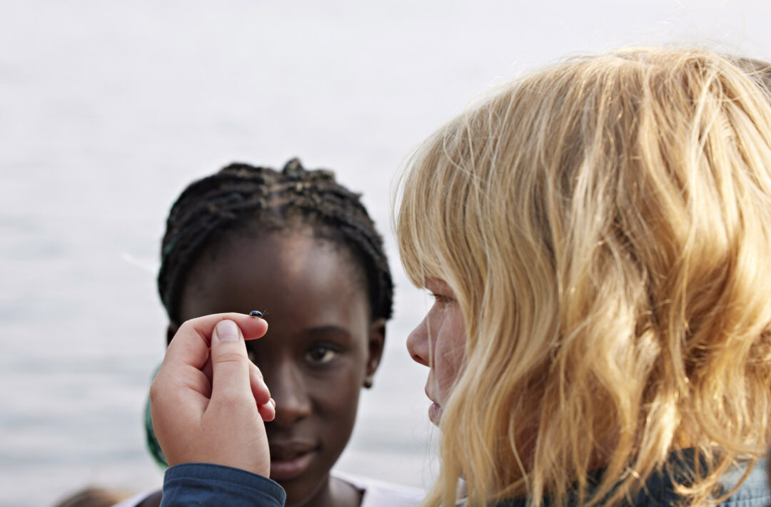 Scouterna / New Normal